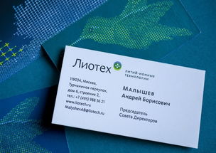 賦能未來能源——解析俄羅斯Liotech能源公司的企業視覺形象與品牌策劃